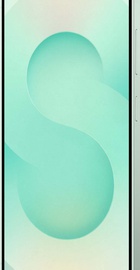 Samsung Galaxy S25 12/128GB Mint (SM-S931BLGD)