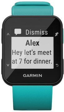 Garmin Forerunner 30 Turquoise (010-01930-04)