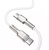 Baseus Cafule Metal Type-C to Type-C 100W (1m) White (CATJK-C02)
