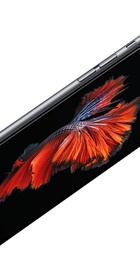Apple iPhone 6s 16GB Space Gray (MKQJ2) Refurbished