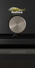 Gorenje BSA6138B