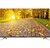 LG 60LB720V