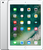 Apple iPad 2017 Wi-Fi + Cellular 32GB Silver (MP252)