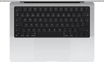 Apple MacBook Pro 16" Late 2024 Silver (Z1FP000JC, Z1FR000E2)