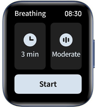 POCO Watch Blue (BHR5723GL)